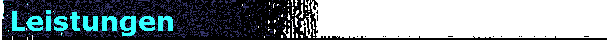  Leistungen 